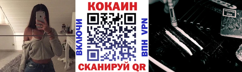 Cocaine FishScale  где можно купить наркотик  Кадников 