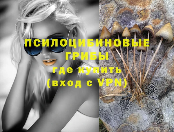 соль ск Арсеньев