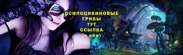 метадон Армянск
