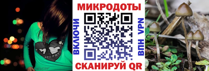 Псилоцибиновые грибы Magic Shrooms  Кадников 
